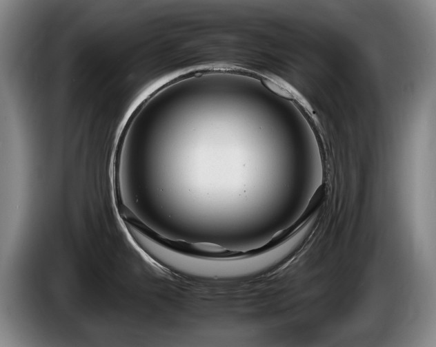 X0000085291343200703091402