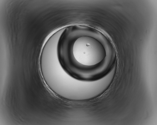 X0000085291344200703091402