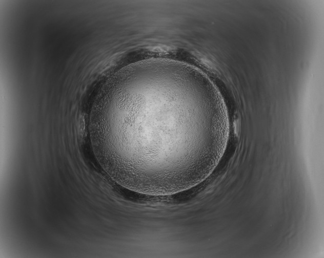X0000085291347200703091401