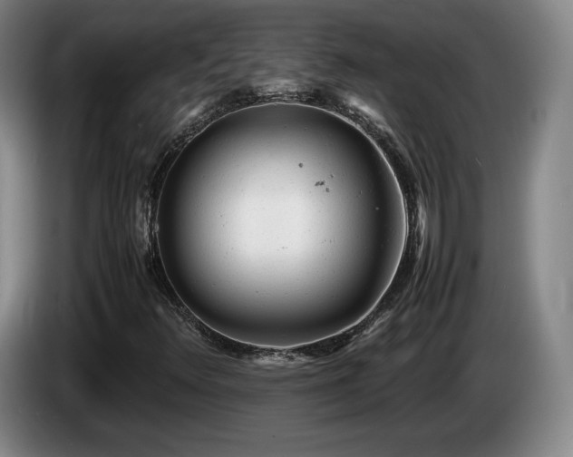 X0000085291348200703091401