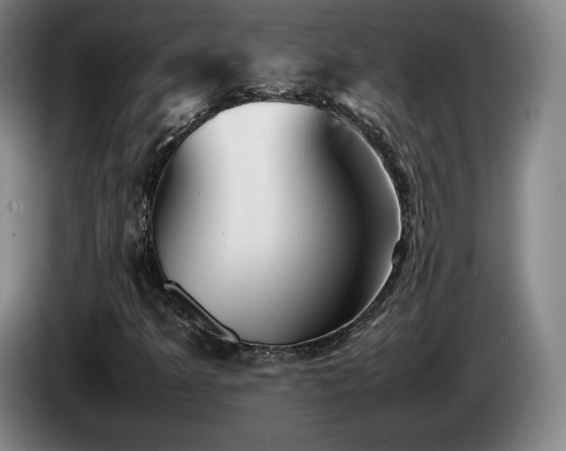X0000085291349200703091401