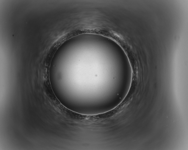 X0000085291350200703091401