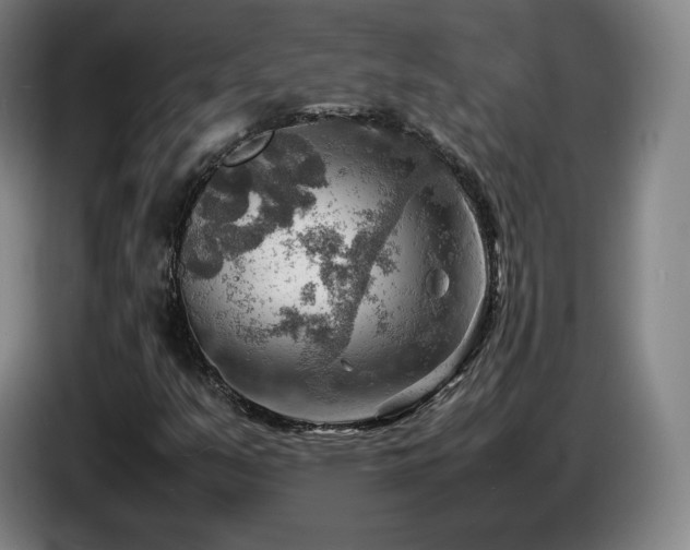 X0000085291351200703091401