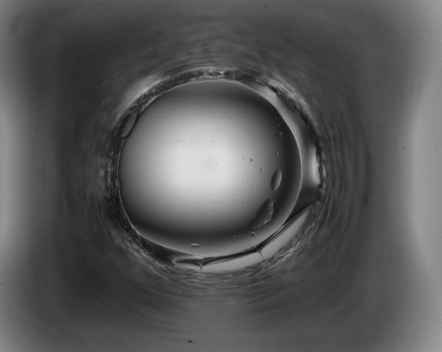X0000085291352200703091401
