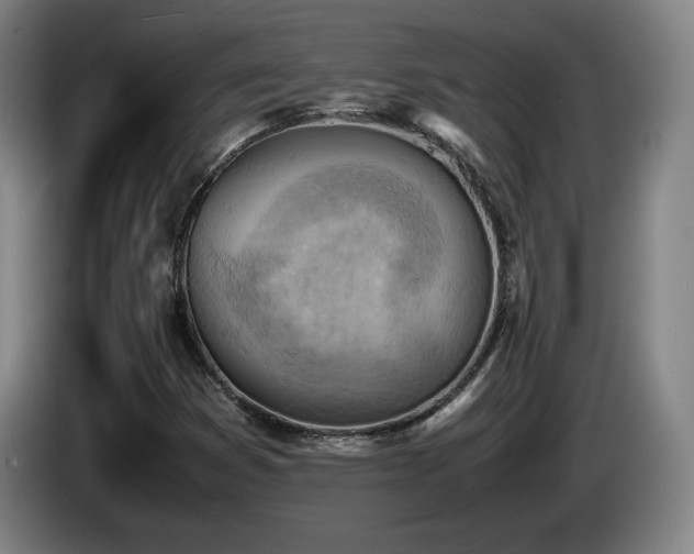 X0000085291353200703091401