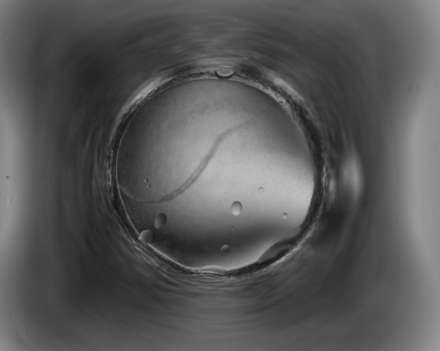 X0000085291354200703091401