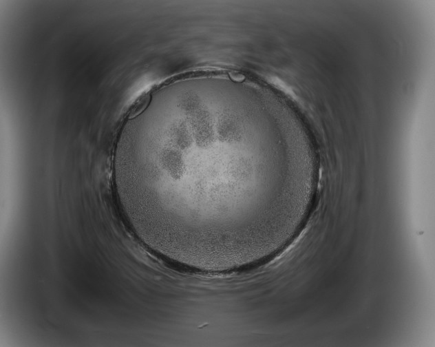 X0000085291355200703091401