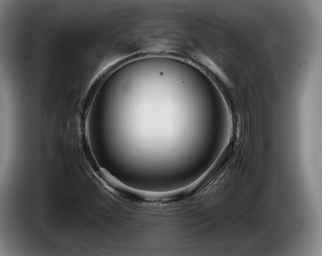 X0000085291356200703091401