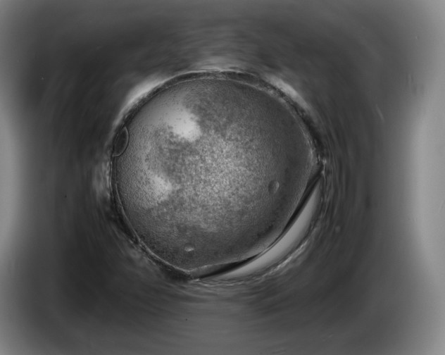 X0000085291358200703091401
