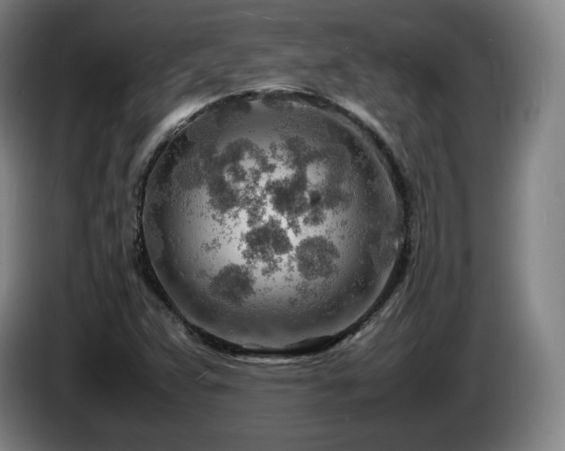 X0000085291359200703091401
