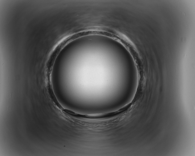 X0000085291360200703091401