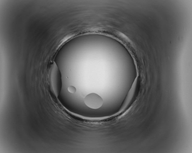 X0000085291361200703091401
