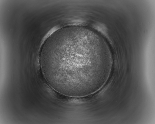 X0000085291362200703091401