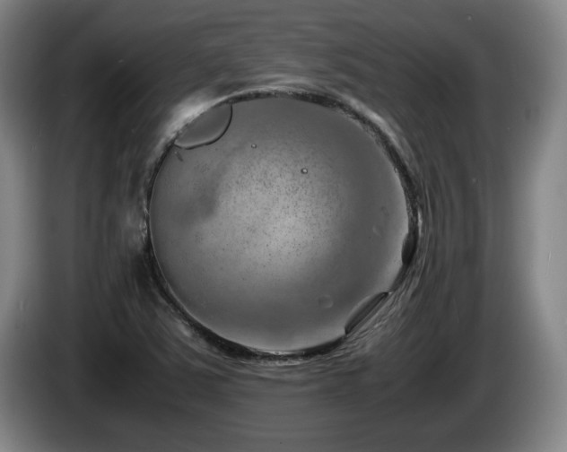 X0000085291363200703091401