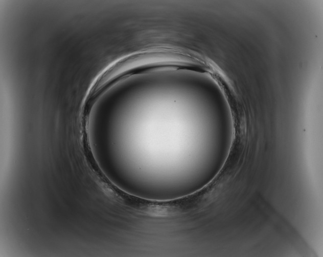 X0000085291364200703091401