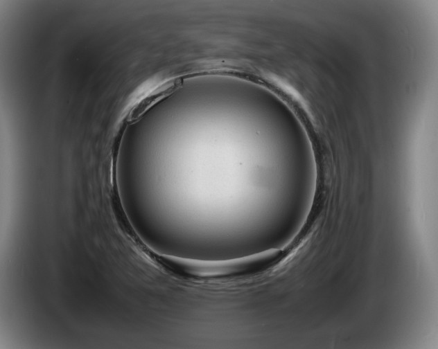 X0000085291365200703091401