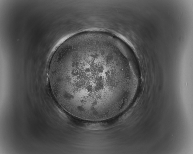 X0000085291367200703091401