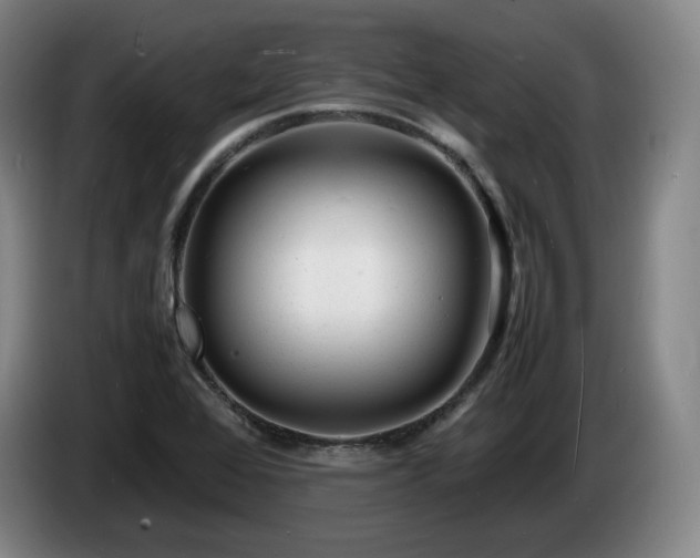 X0000085291368200703091401