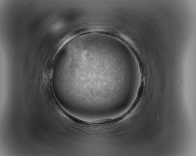 X0000085291369200703091401