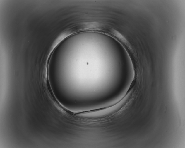 X0000085291370200703091401