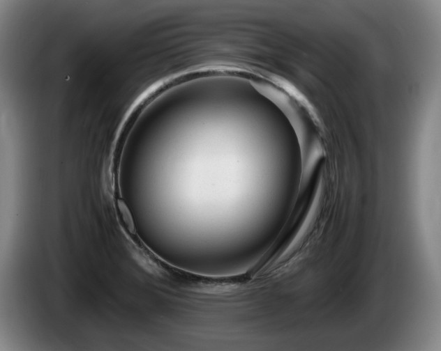 X0000085291372200703091400