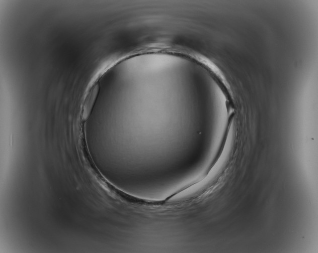 X0000085291373200703091400