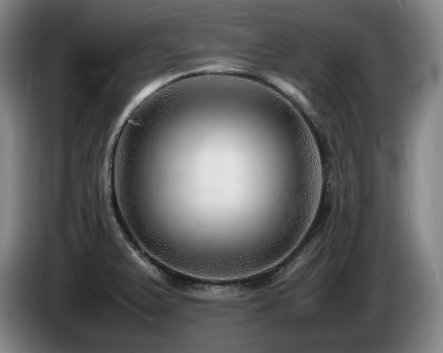 X0000085291375200703091400