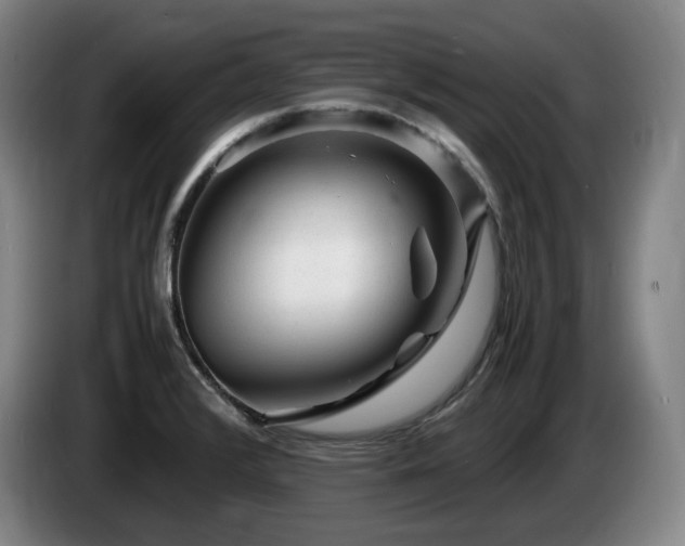 X0000085291376200703091400