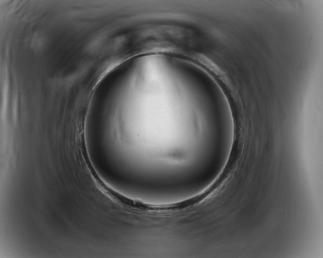 X0000085291377200703091400