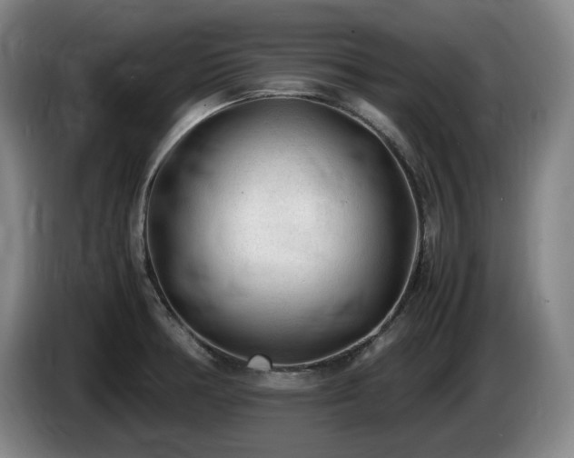 X0000085291378200703091400