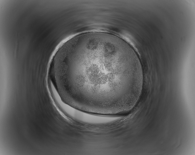 X0000085291379200703091400