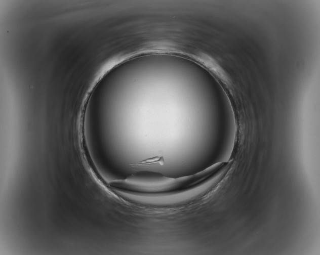 X0000085291382200703091400