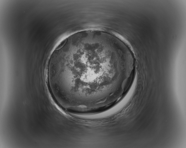 X0000085291383200703091400
