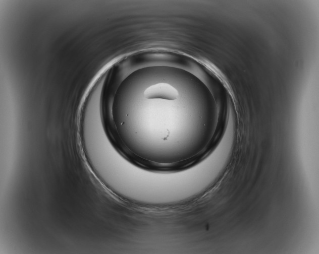 X0000085291384200703091400