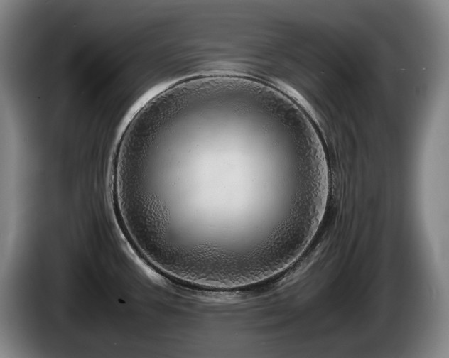 X0000085291387200703091400