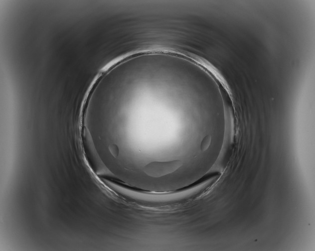 X0000085291388200703091400