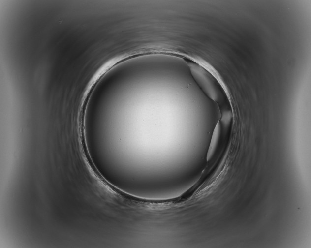 X0000085291389200703091400