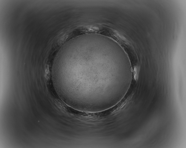 X0000085291395200703091359