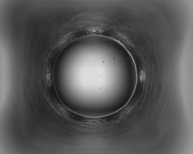 X0000085291396200703091359