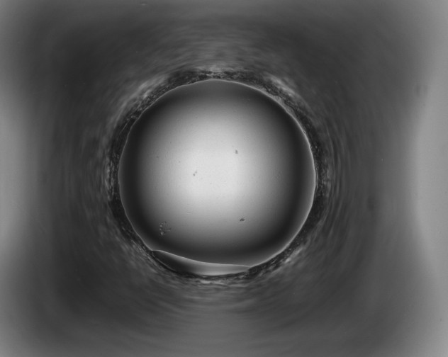 X0000085291398200703091359