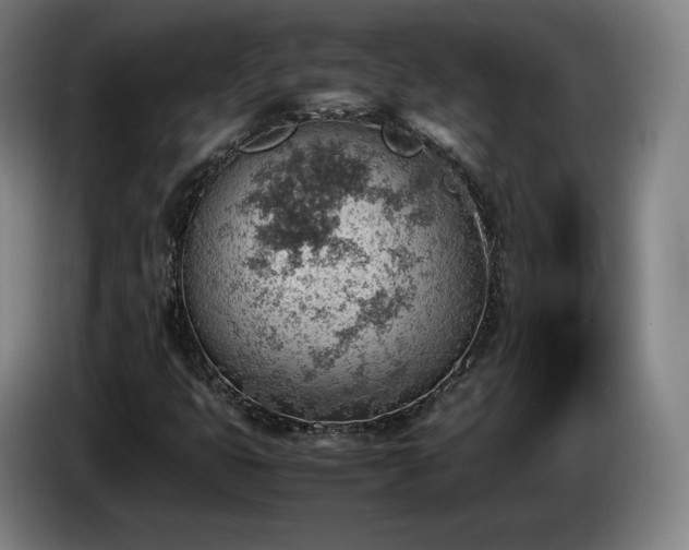 X0000085291399200703091359