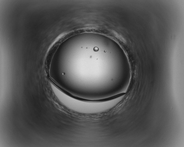 X0000085291400200703091359