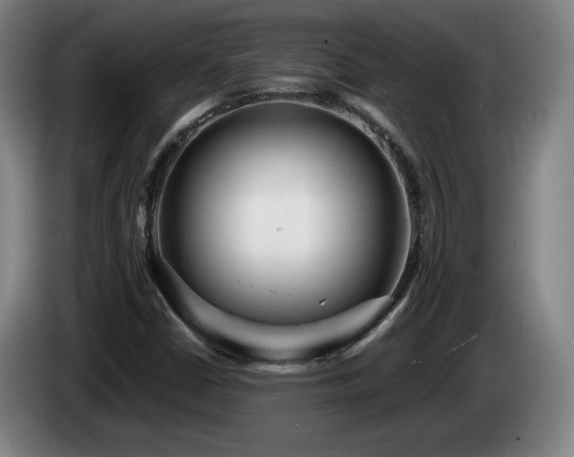 X0000085291402200703091359