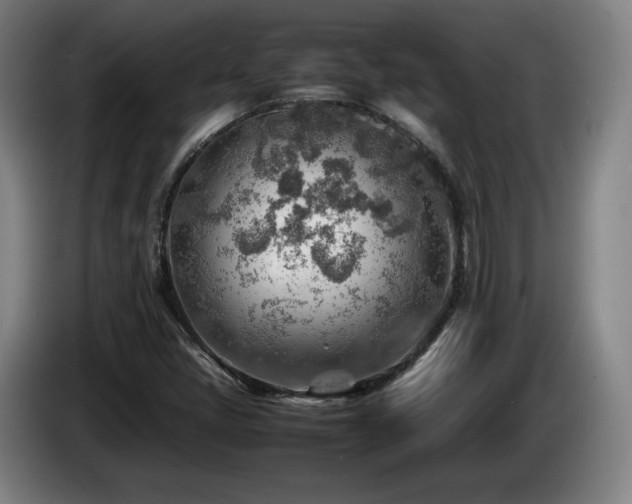 X0000085291405200703091359