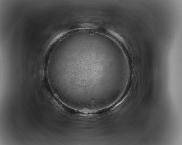 X0000085291407200703091400