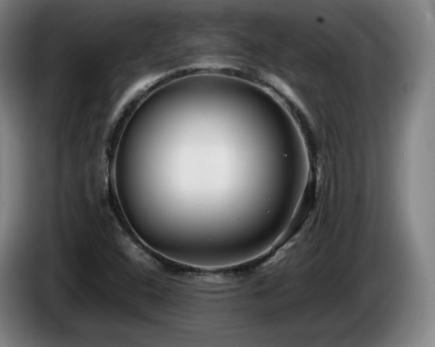 X0000085291408200703091400