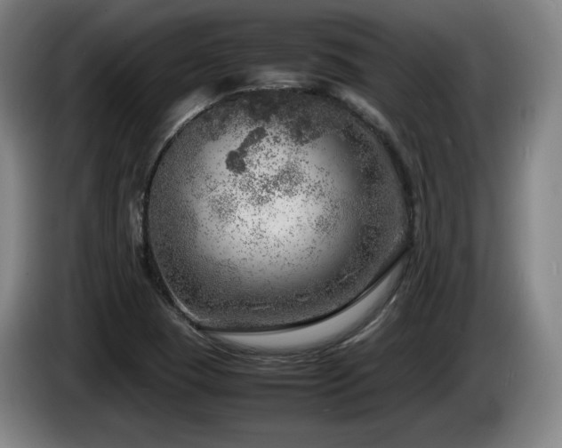 X0000085291409200703091400