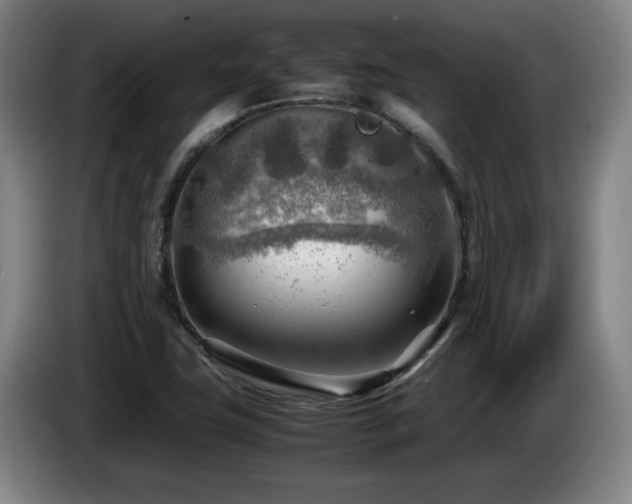 X0000085291411200703091400