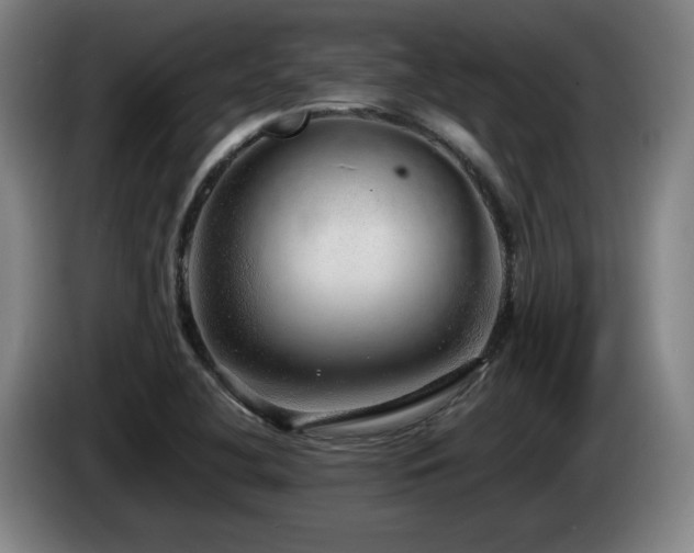 X0000085291412200703091400