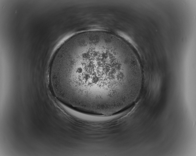 X0000085291415200703091400